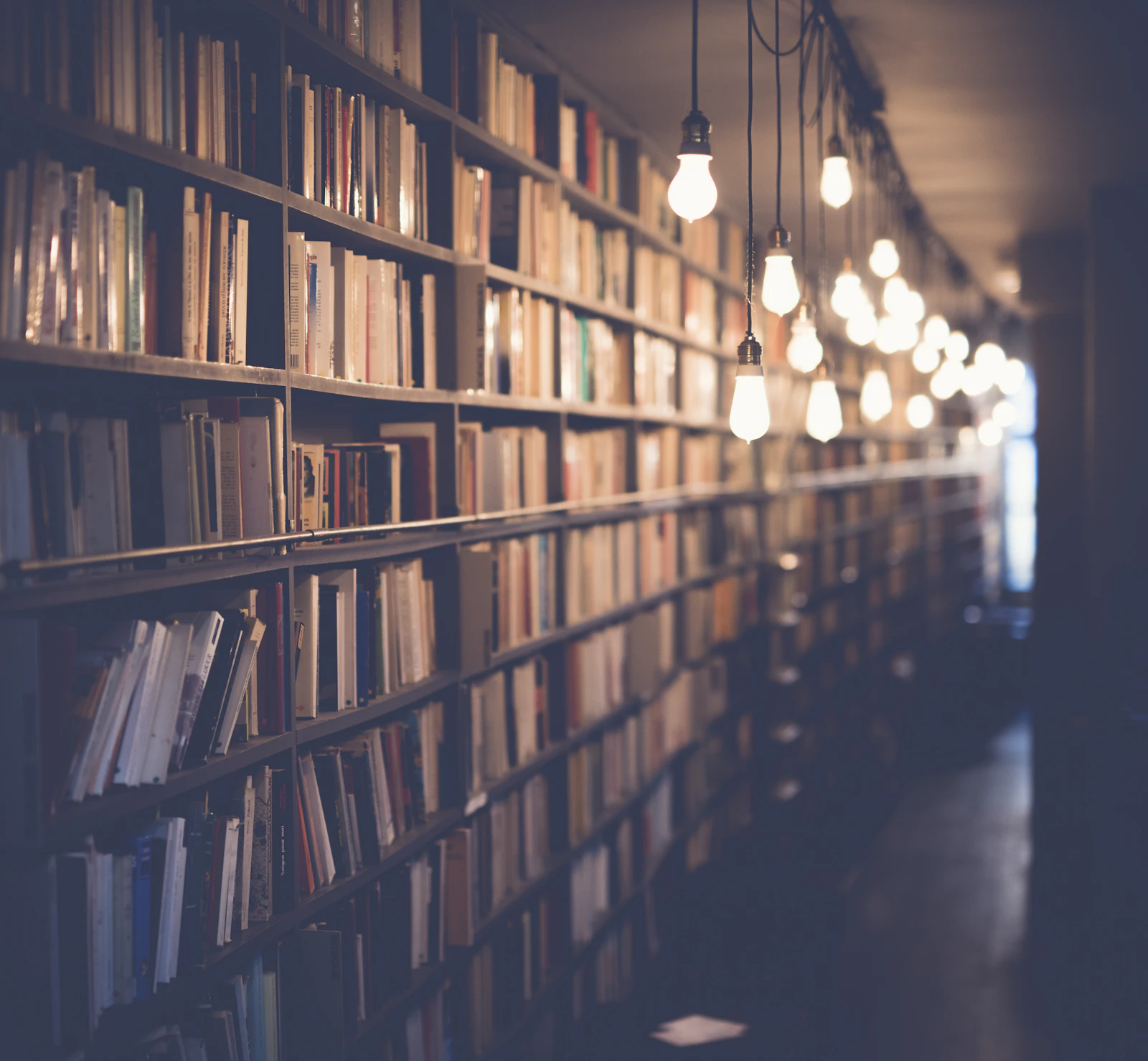 Estante de livros em uma livraria aconchegante